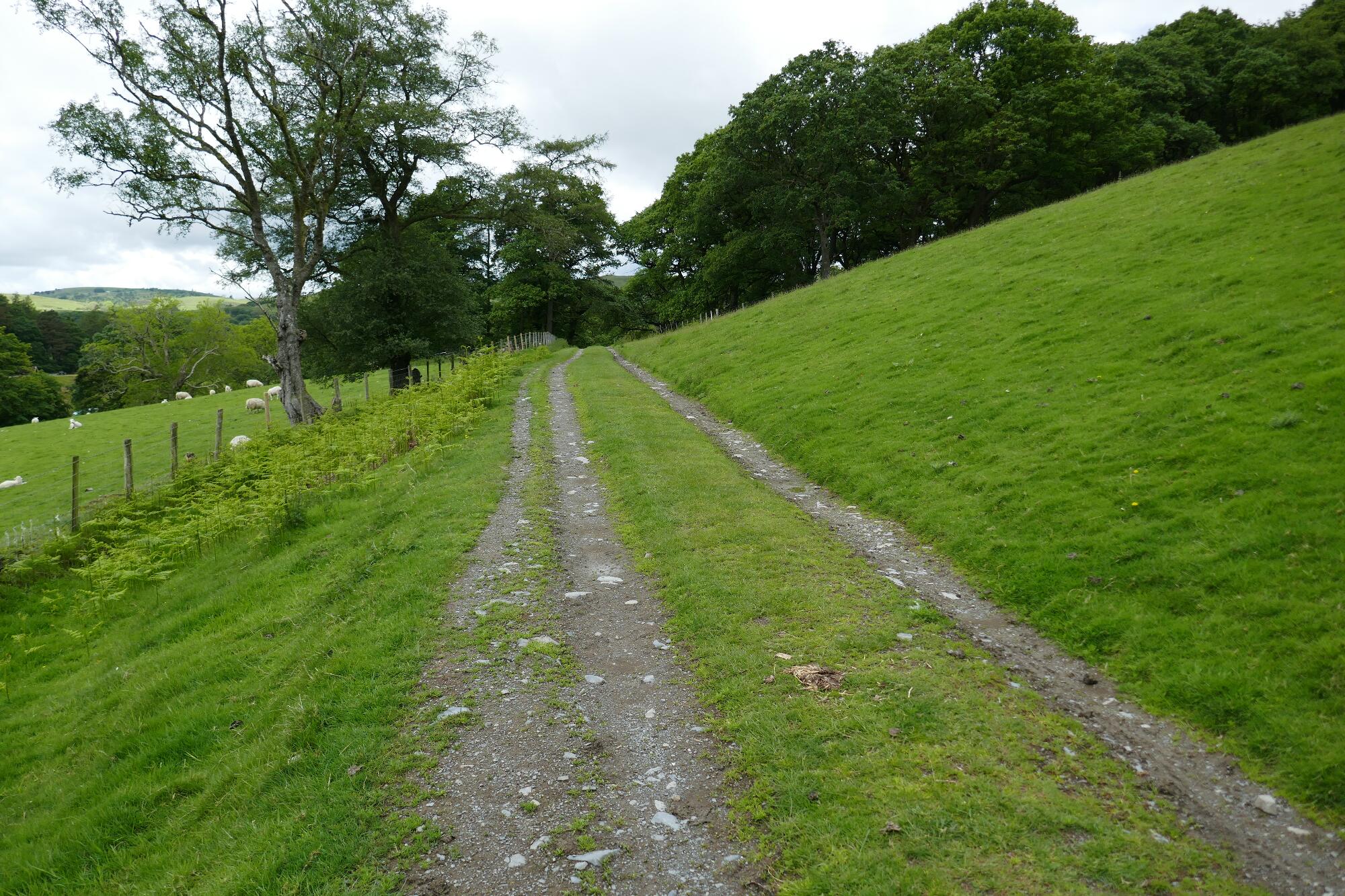RachelSeabrook.net | Wild Walking | Devils-Bridge; pic18